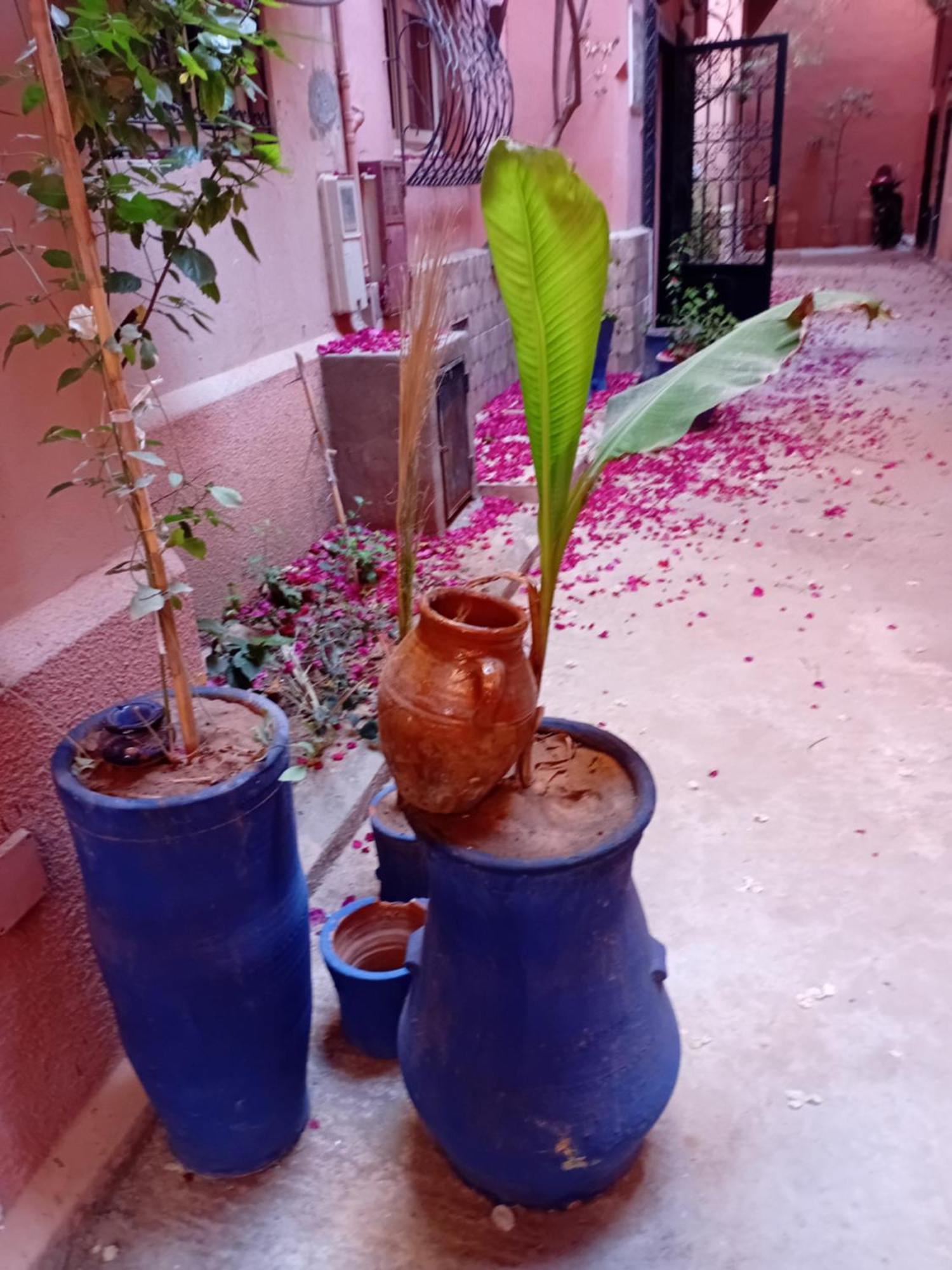 Riad Le Shams Marraquexe Exterior foto